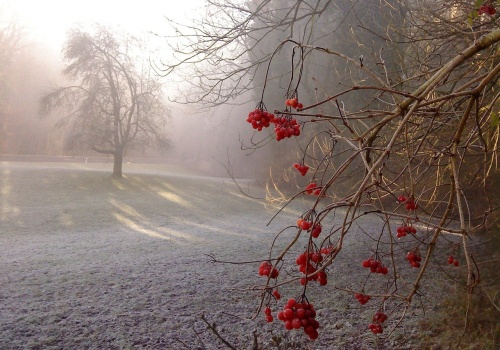 Nagłe załamanie pogody w Polsce! Wiosna zniknęła, wraca chłód i… śnieg