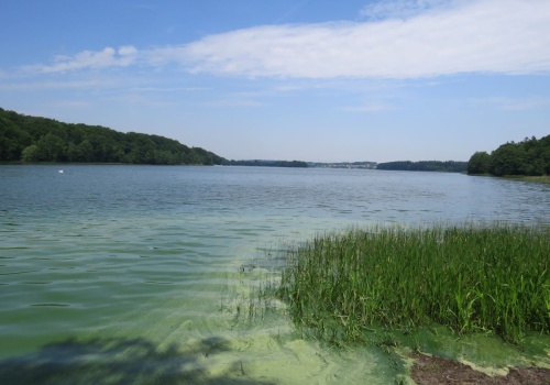 Ukryta perła na Kaszubach. Tylko 10 km od Gdańska, a na miejscu cisza i spokój