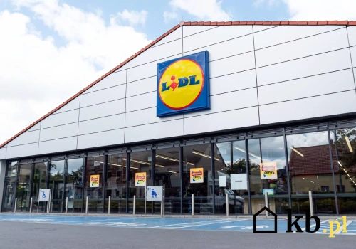 Dziennikarskie śledztwo: ryby w Lidlu pod lupą. To wyjaśnia wątpliwości