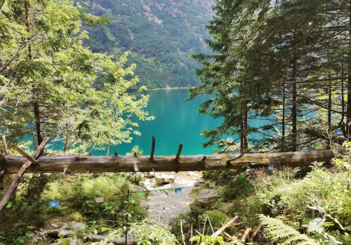 Coś niesamowitego wydarzyło się w polskich górach. Najnowsze badanie Tatr przynosi ważną lekcję