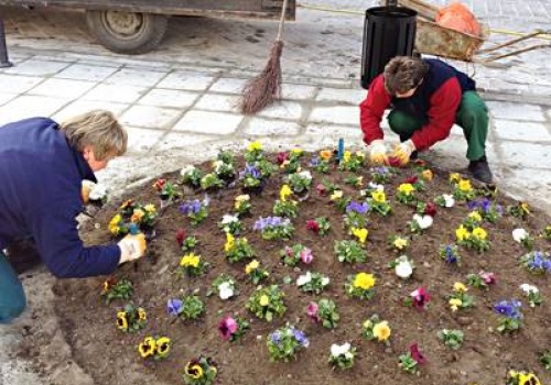 30 tysięcy roślin w różnych zakątkach Tarnowa