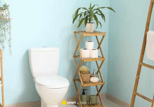 Rośliny do łazienki bez okna. Te gatunki poradzą sobie bez światła