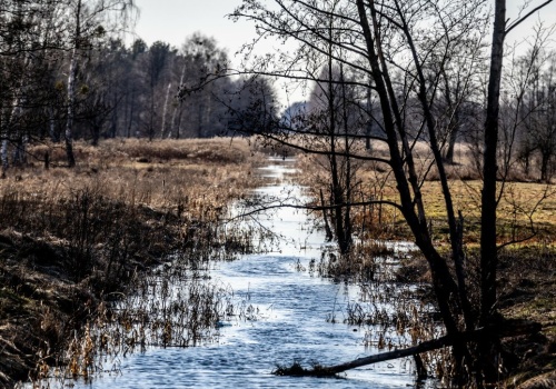 Śnieg nie załatwił sprawy. Wody jest jak na lekarstwo