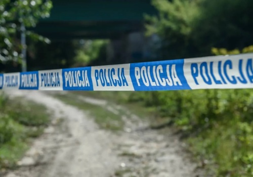 Niezidentyfikowany obiekt w lesie niedaleko Mińska Mazowieckiego. Służby badają sprawę