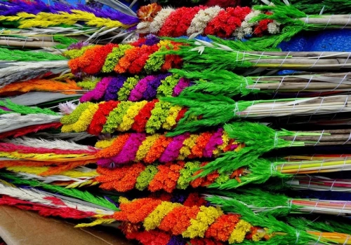 Takiej Niedzieli Palmowej nie było od dawna. Co na to prawo