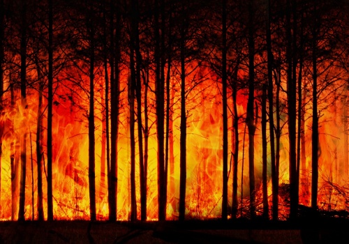 Czarny węgiel z pożarów bardziej szkodliwy. Modele klimatyczne mogły go niedoszacowywać