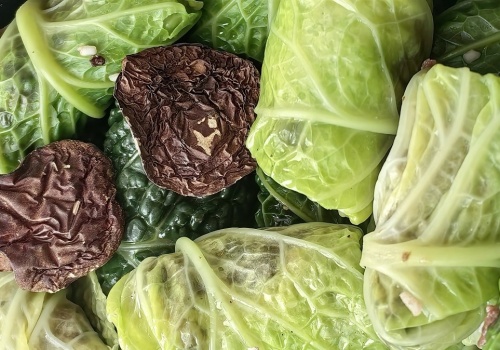 Co na obiad w Poniedziałek Wielkanocny? Ja co roku stawiam na te gołąbki