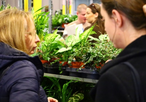 W Hali Targów Lublin królują kwiaty i sadzonki. Festiwal Roślin potrwa do niedzieli