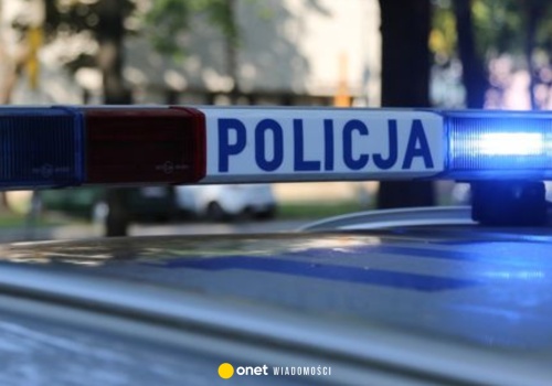 Nowe informacje o obiekcie, który spadł w lesie w Rudniku