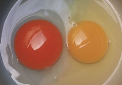 Wielu nie ma pojęcia, o czym świadczy kolor żółtka i rozmiar jajka. Wyjaśnijmy raz na zawsze