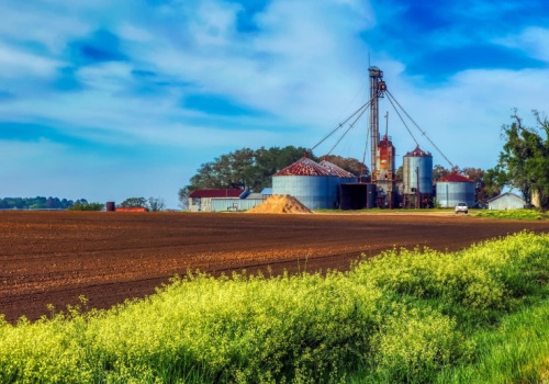 Rolniczka odrzuciła ofertę zakupu gruntów za 26 milionów dolarów. I wzywa innych, żeby nie dali się skusić