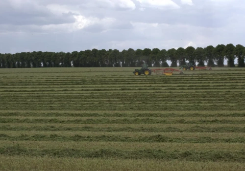 Śmierć właściciela ziemi – co z dzierżawą i czynszem?