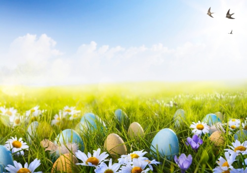 Od czwartku 2 kwietnia wiosenna przerwa świąteczna. Uczniowie i uczennice wrócą do szkół w środę 8 kwietnia