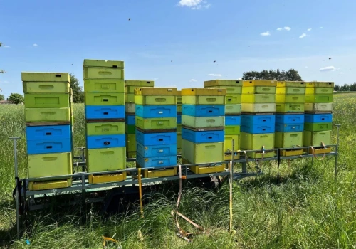 Już można ubiegać się o „ulowe”. Stawka dofinansowania bez zmian