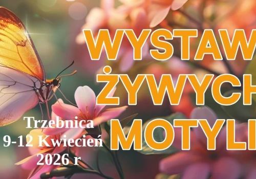 W świecie egzotycznych motyli – wyjątkowa wystawa w Trzebnicy!