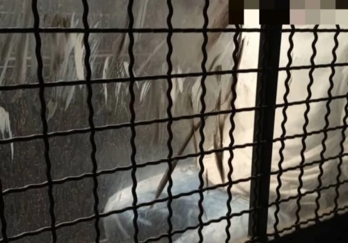 Poszukiwany za oszustwo - na policjanta - zatrzymany w Jeleniej Górze