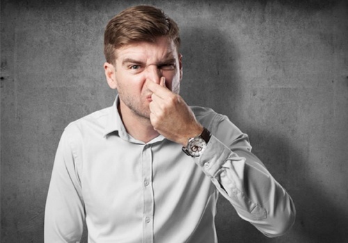 Koniec z kuriozalnymi wyrokami za prowadzenie działalności rolniczej? „Do 30 kwietnia jest czas, żeby zawalczyć”