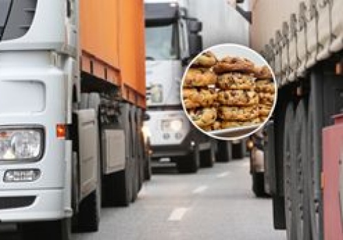 Transport z Egiptu zatrzymany. To miało trafić do sprzedaży w Polsce