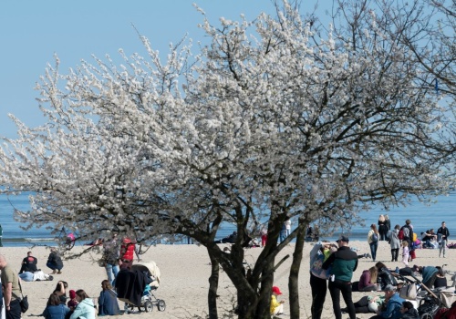 Nad Bałtykiem zaczęli odliczanie. Szykuje się najazd turystów