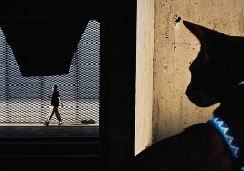 Mobile Photography Awards 2025 - zobacz najlepsze zdjęcia wykonane smartfonami. Polacy wśród nagrodzonych