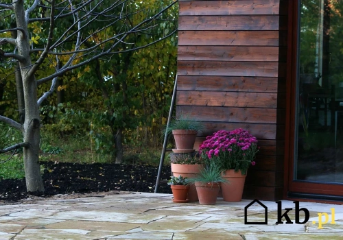 Wiosną umył taras i zobaczył rysy - woda zrobiła swoje przez całą zimę