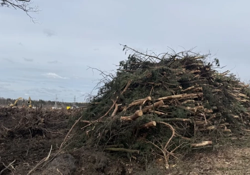 Wycinają drzewa pod drogę. Przebudowa ulicy Wojska Polskiego w Jaworznie