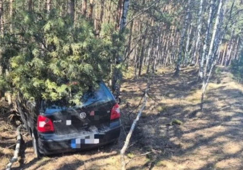 Sam zgłosił zdarzenie. Policja ustaliła, że był pijany i bez uprawnień