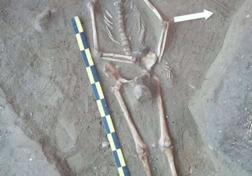 Cmentarzysko w Pniu może być największą w Polsce nekropolią osób odrzuconych