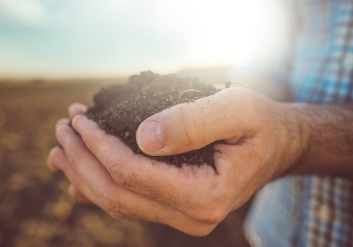 Niepokojący start sezonu: wilgoć znika z gleby w szybkim tempie