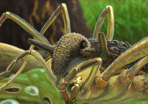 Niezwykły stwór znaleziony w bałtyckim bursztynie. Nogi jak pająk