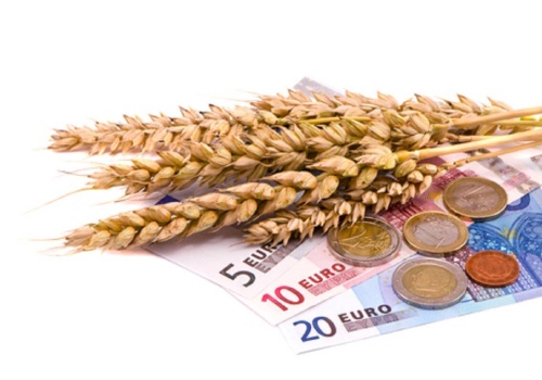 Andrzej Bąk: Rynek zbóż i oleistych wchodzi w kwiecień przy ekstremalnej zmienności