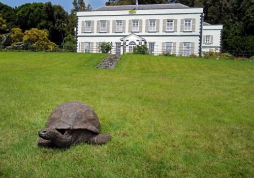 Najstarsze zwierzę lądowe wykorzystane przez oszusta