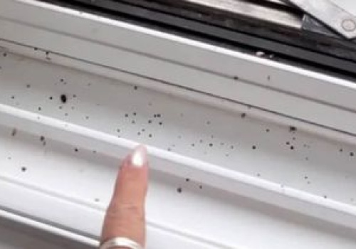 Widzisz takie zabrudzenia na oknie? Pozbądź się ich natychmiast