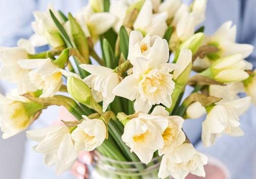 Wsyp do wazonu odrobinę cukru, a żonkile i tulipany postoją znacznie dłużej. To tani trik, a działa