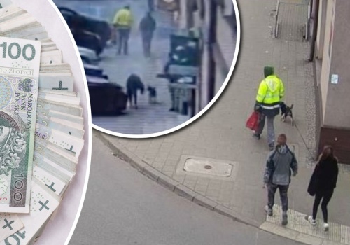 Miała dziurę w kieszeni i straciła tysiące. Kamera nagrała, co stało się potem