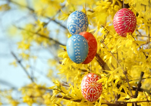 Naturalny rutinoscorbin. Polacy dekorują stoły i koszyczki, a można ją zajadać