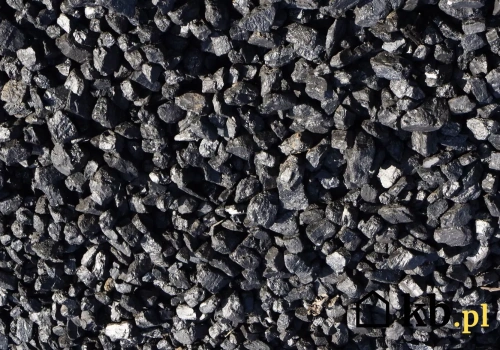 Nawet 800 zł różnicy za tonę – tyle przepłacisz, jeśli kupisz ekogroszek w złym czasie