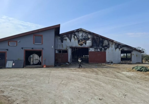 Stracili 130 wysokowydajnych krów. Pożar strawił serce gospodarstwa