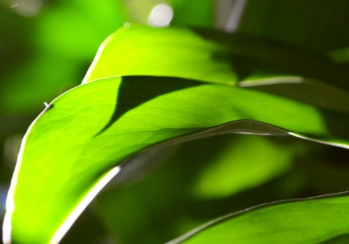 Latarnie będą niepotrzebne. Tak ma wyglądać oświetlenie miejskie w przyszłości