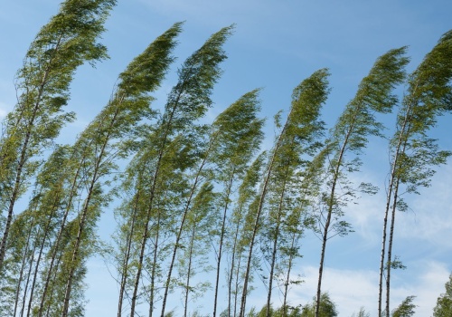 To nie są dobre wieści na Wielkanoc. Pilne ostrzeżenie dla Polaków, nadciągają potężne wichury