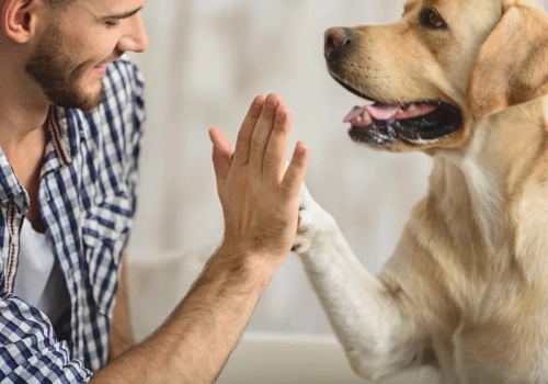 Przełom w badaniach nad psami. Wszystko przez fragment szczęki
