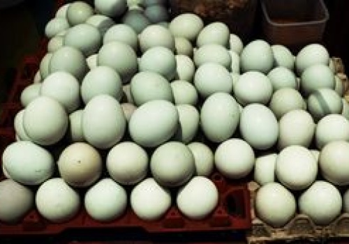 Na widok takich jajek można złapać się za głowę. Co oznacza ten kolor skorupki?
