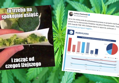 Badanie: większość Polaków ostrożnie podchodzi do legalizacji marihuany i na razie nie ma powszechnej zgody