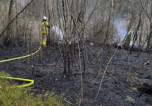 Pożar lasu w Łomnej-Nowym Ratyńcu