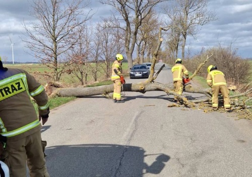 Silny wiatr daje się we znaki na Pomorzu. Przybywa interwencji strażaków