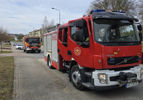 Nietypowa akcja strażaków w Niedzielę Wielkanocną. Mieszkańcy Likus byli zdezorientowani