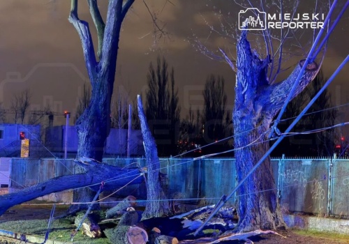 Drzewa runęły na trakcję tramwajową przy Jagiellońskiej. Duże utrudnienia w ruchu
