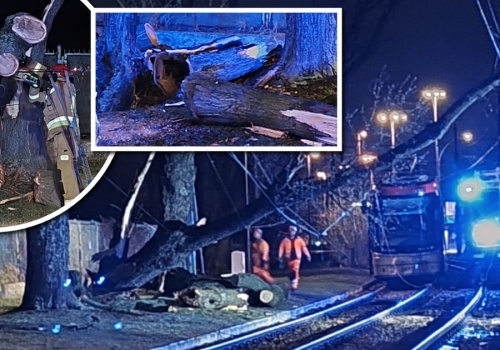 Groźna świąteczna burza w Warszawie. Piorun uderzył w drzewo, niszcząc trakcję tramwajową