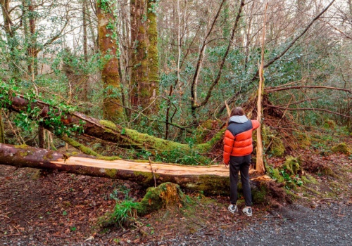 Tragiczny finał wielkanocnej zabawy. Trzy ofiary śmiertelne, winien porywisty wiatr