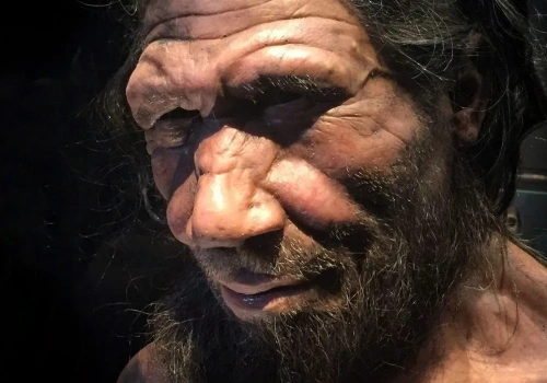Ukryta katastrofa sprzed 75 tys. lat. Tak zaczęło się wymieranie neandertalczyków